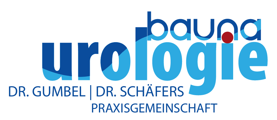 Praxis Logo transparent